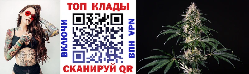 Где купить наркоту Волгореченск ГАШИШ  СК  Псилоцибиновые грибы  Каннабис  МЕФ 